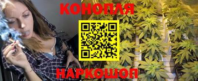 эйфоретик Краснодар