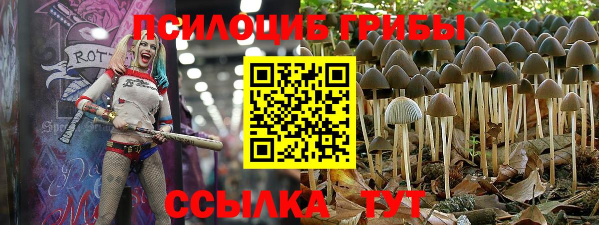 Галлюциногенные грибы ЛСД Зеленогорск