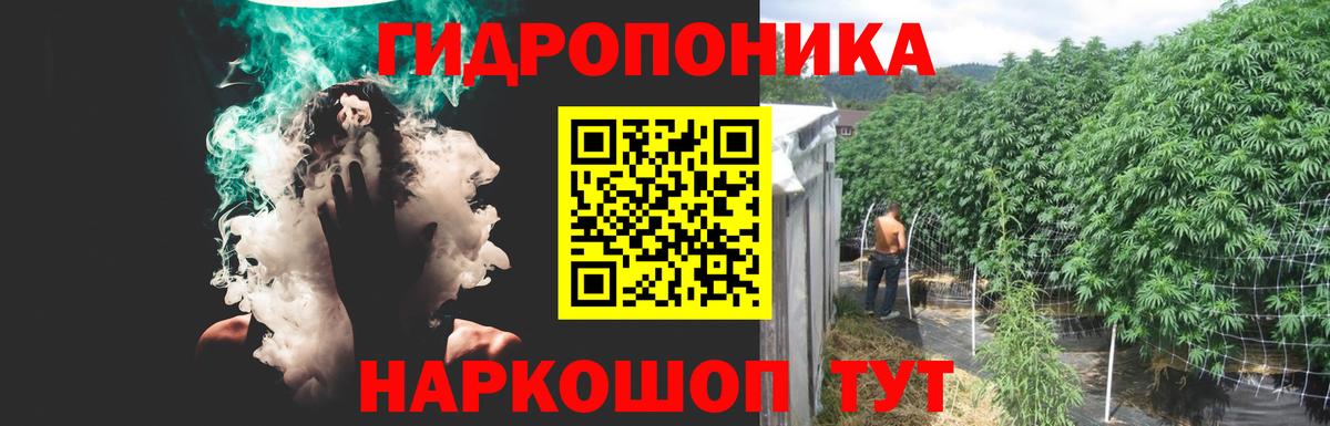 Зеленогорск  Каннабис Bruce Banner  Вход с VPN  Каннабис Ganja 